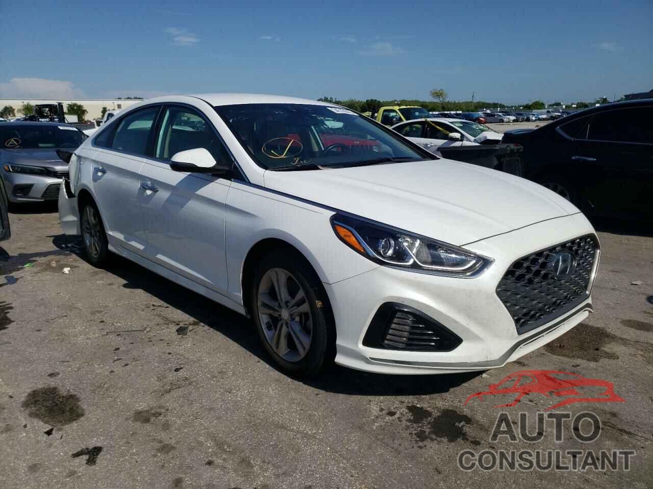 HYUNDAI SONATA 2019 - 5NPE34AF0KH759440