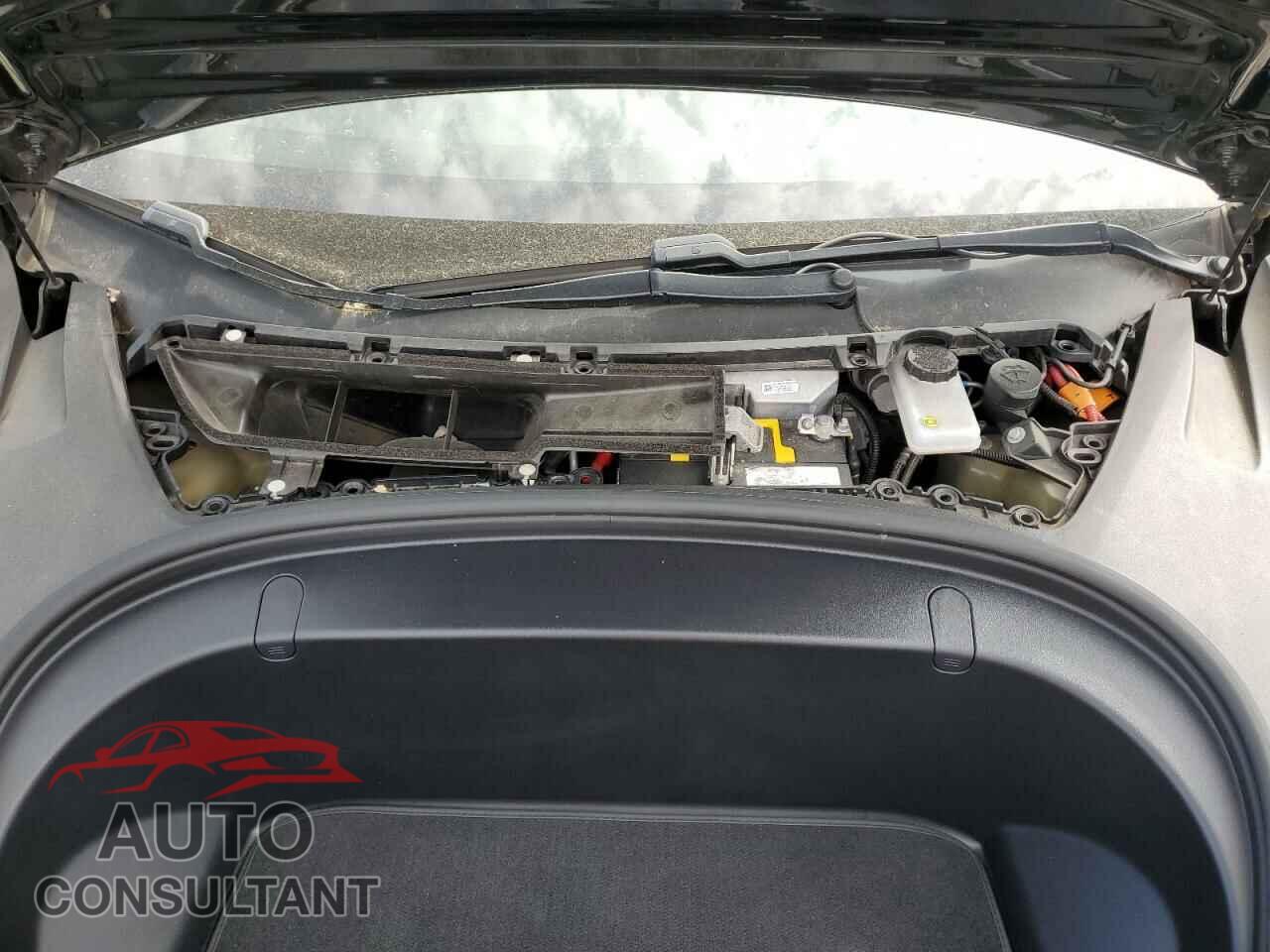 TESLA MODEL 3 2019 - 5YJ3E1EA2KF297170