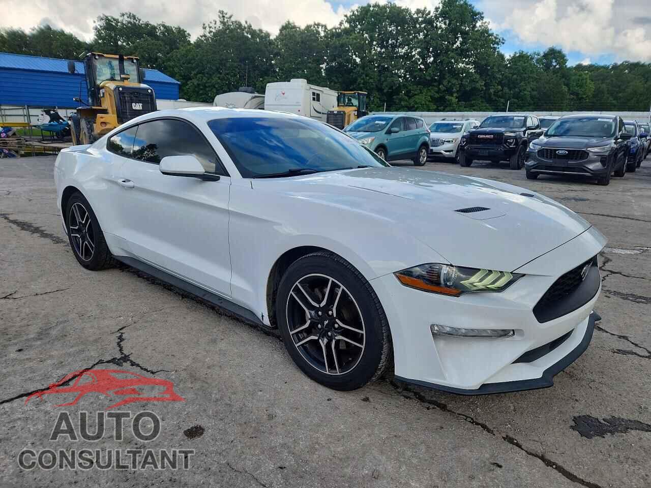 FORD MUSTANG 2019 - 1FA6P8TH6K5166590