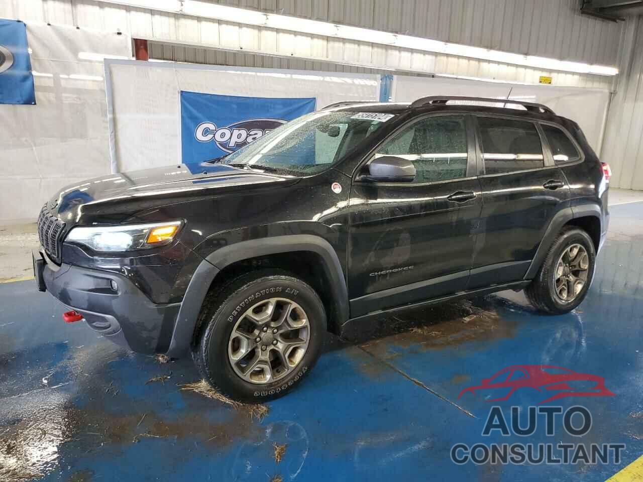 JEEP CHEROKEE 2019 - 1C4PJMBN1KD389240