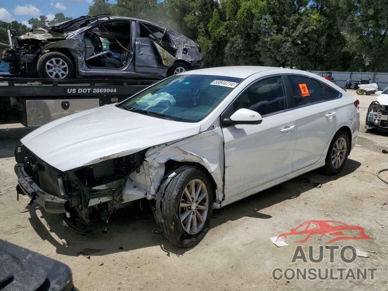 HYUNDAI SONATA 2019 - 5NPE24AF7KH750706