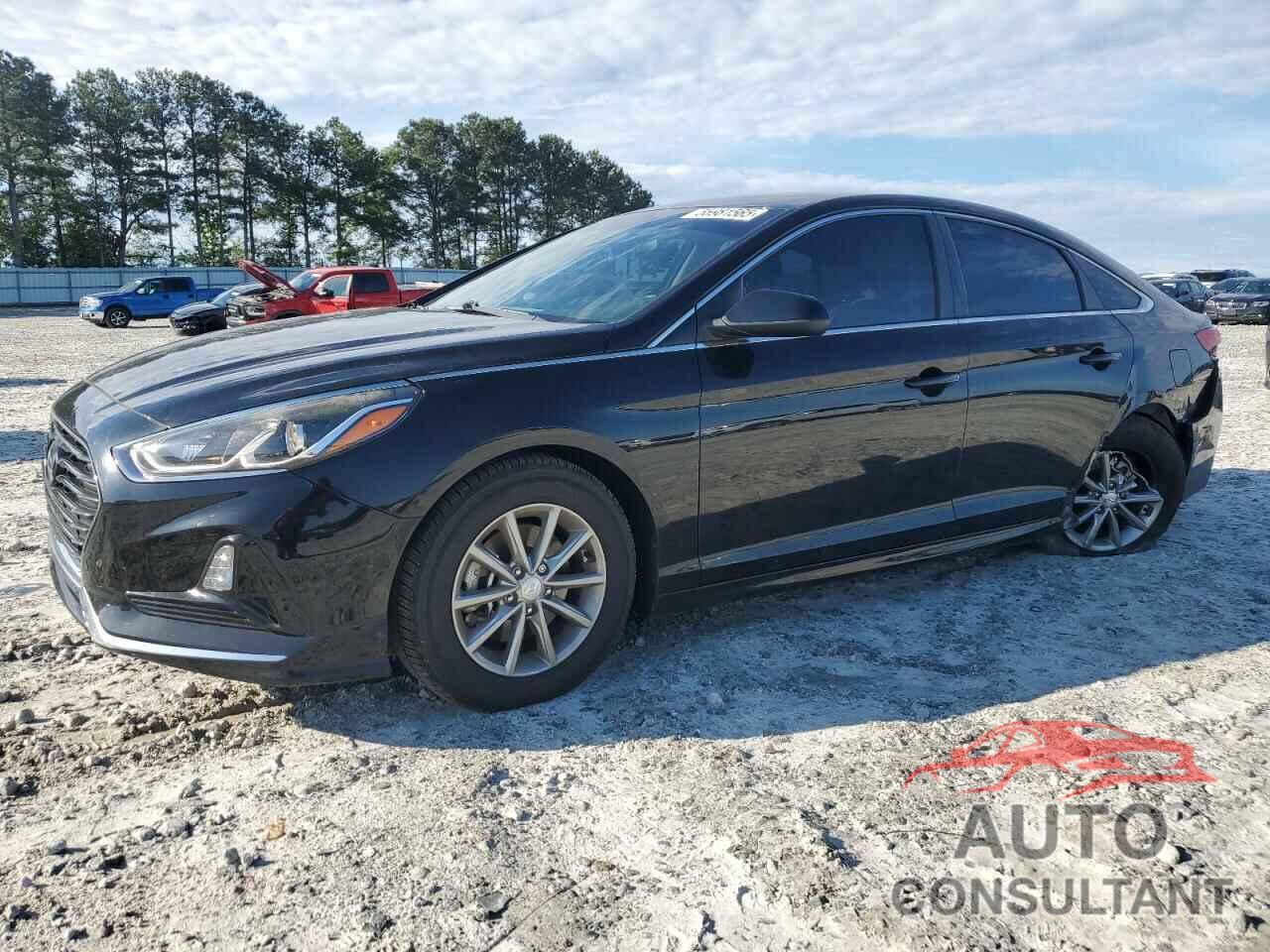 HYUNDAI SONATA 2019 - 5NPE24AF5KH757332