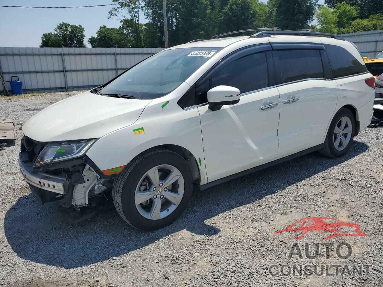 HONDA All Models 2019 - 5FNRL6H70KB079001