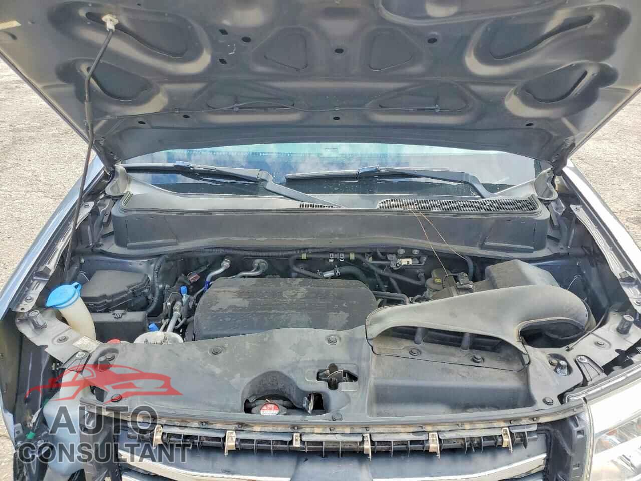 HONDA PILOT 2013 - 5FNYF3H5XDB016989