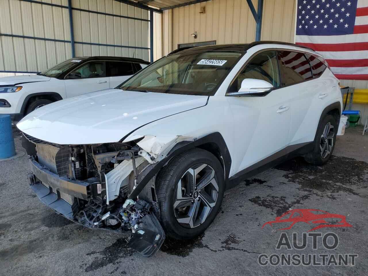 HYUNDAI TUCSON 2024 - 5NMJE3DE5RH361590