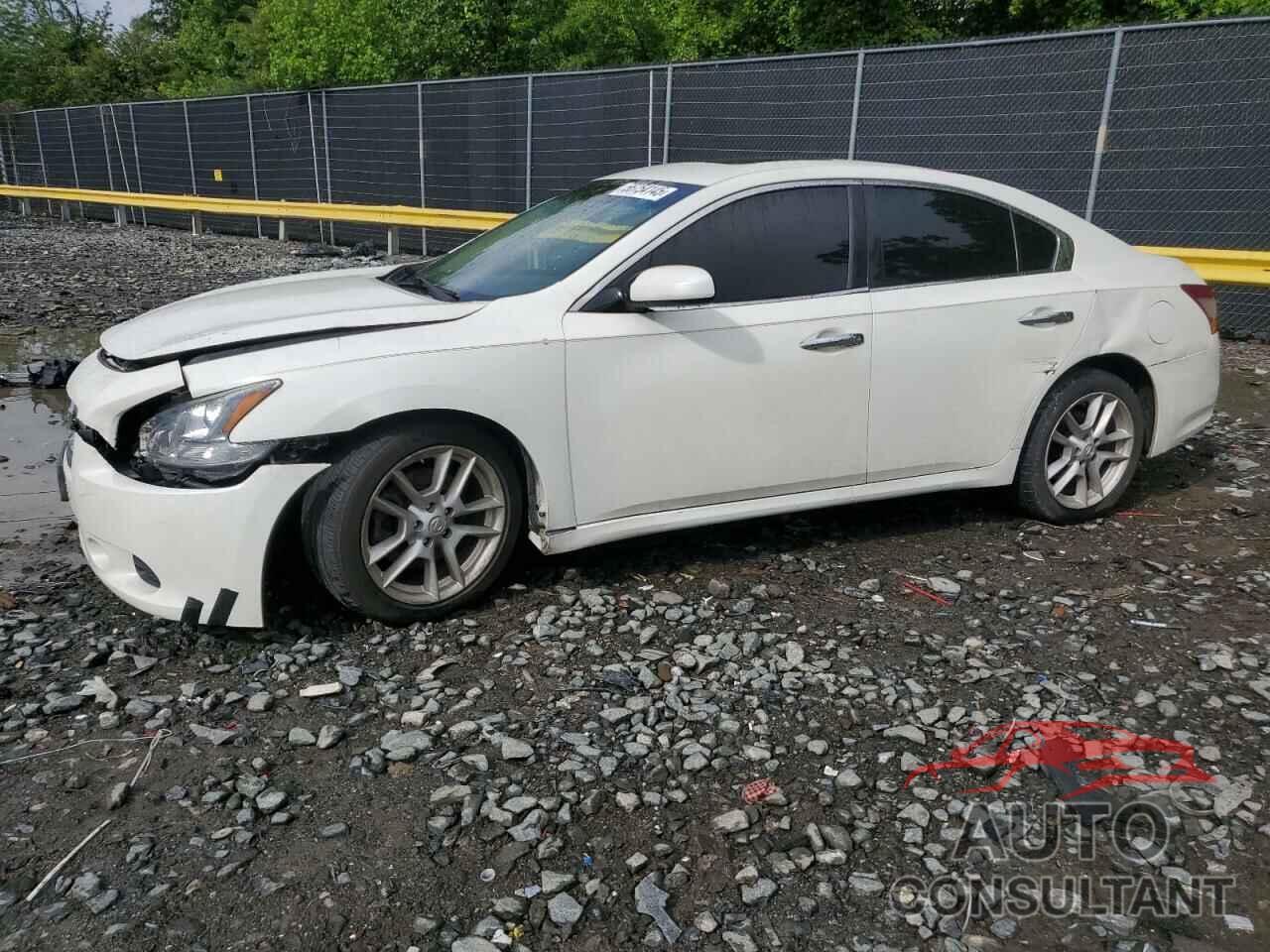 NISSAN MAXIMA 2009 - 1N4AA51EX9C841494