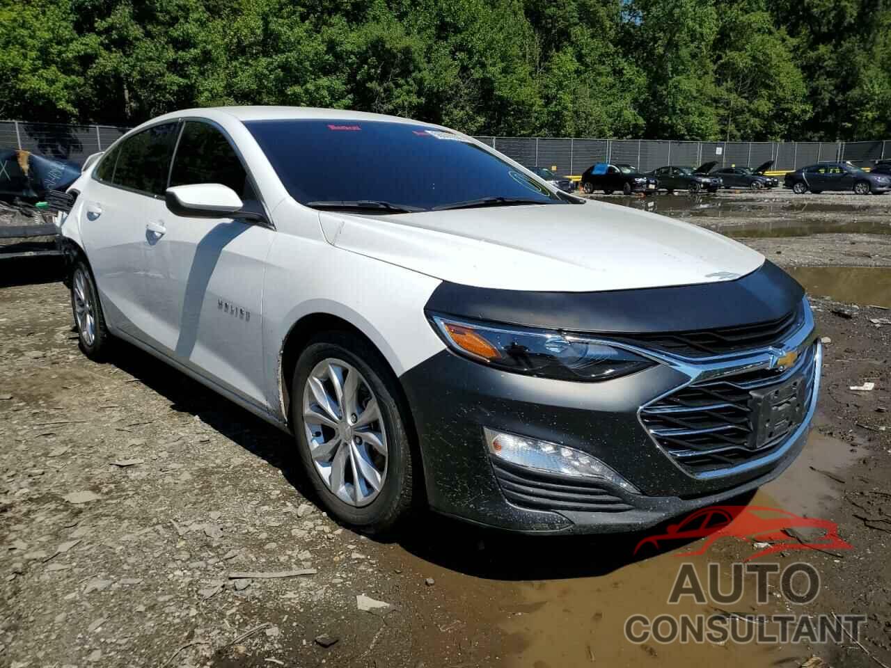 CHEVROLET MALIBU 2020 - 1G1ZD5ST8LF057086