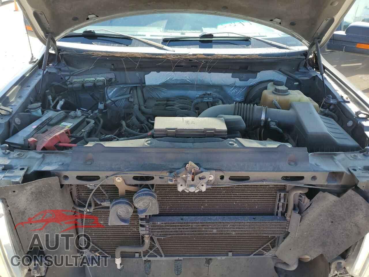 FORD F-150 2011 - 1FTFX1CF3BFA39905