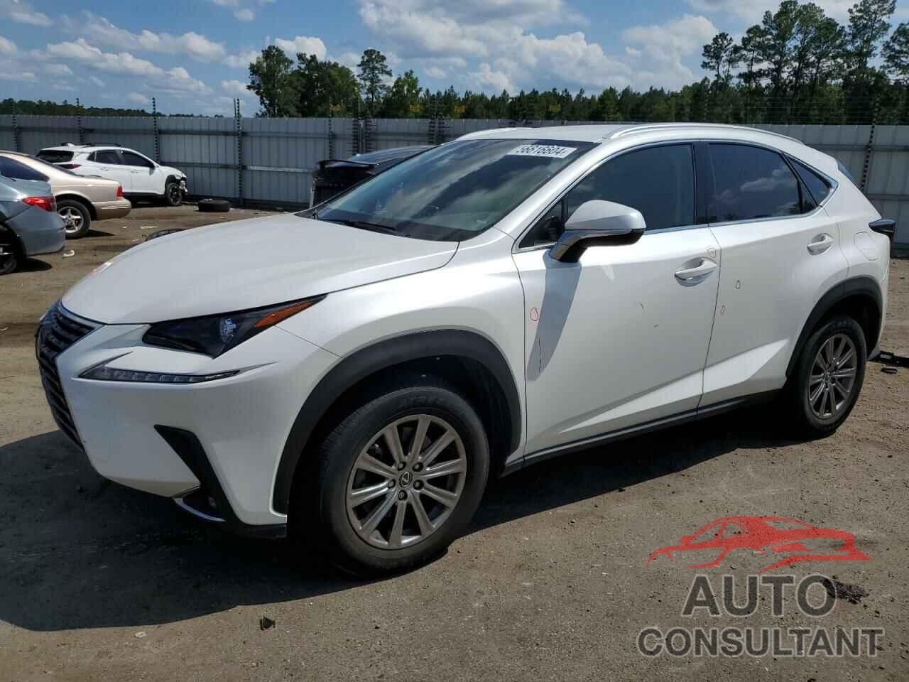 LEXUS NX 2019 - JTJYARBZ2K2123531