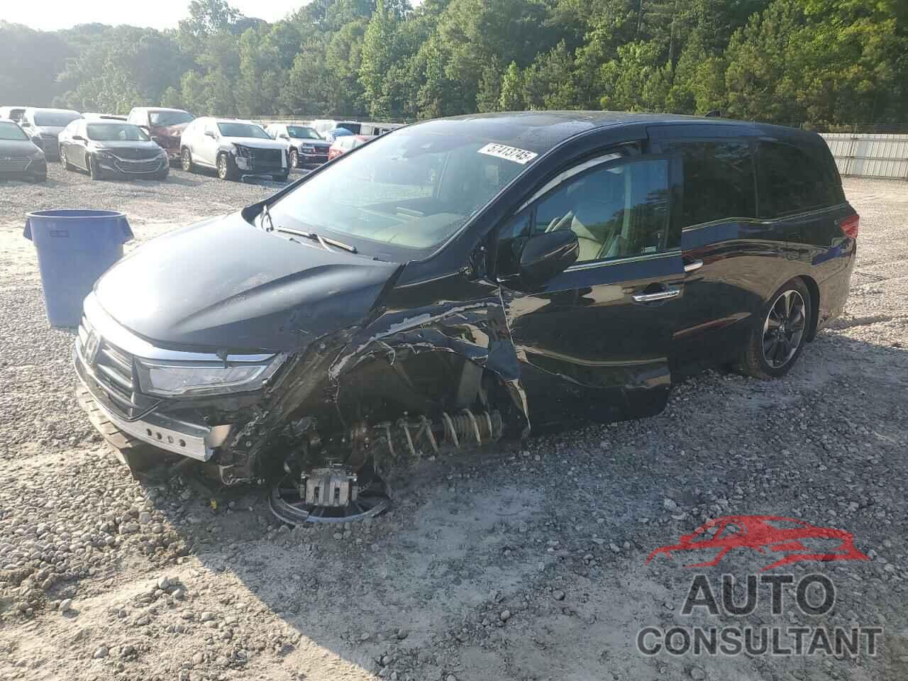 HONDA ODYSSEY 2024 - 5FNRL6H91RB055026
