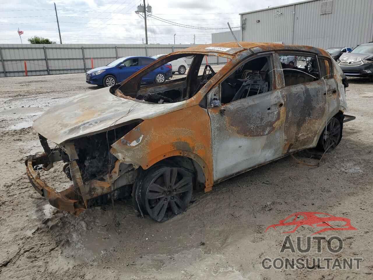 KIA SPORTAGE 2017 - KNDPM3AC6H7128582