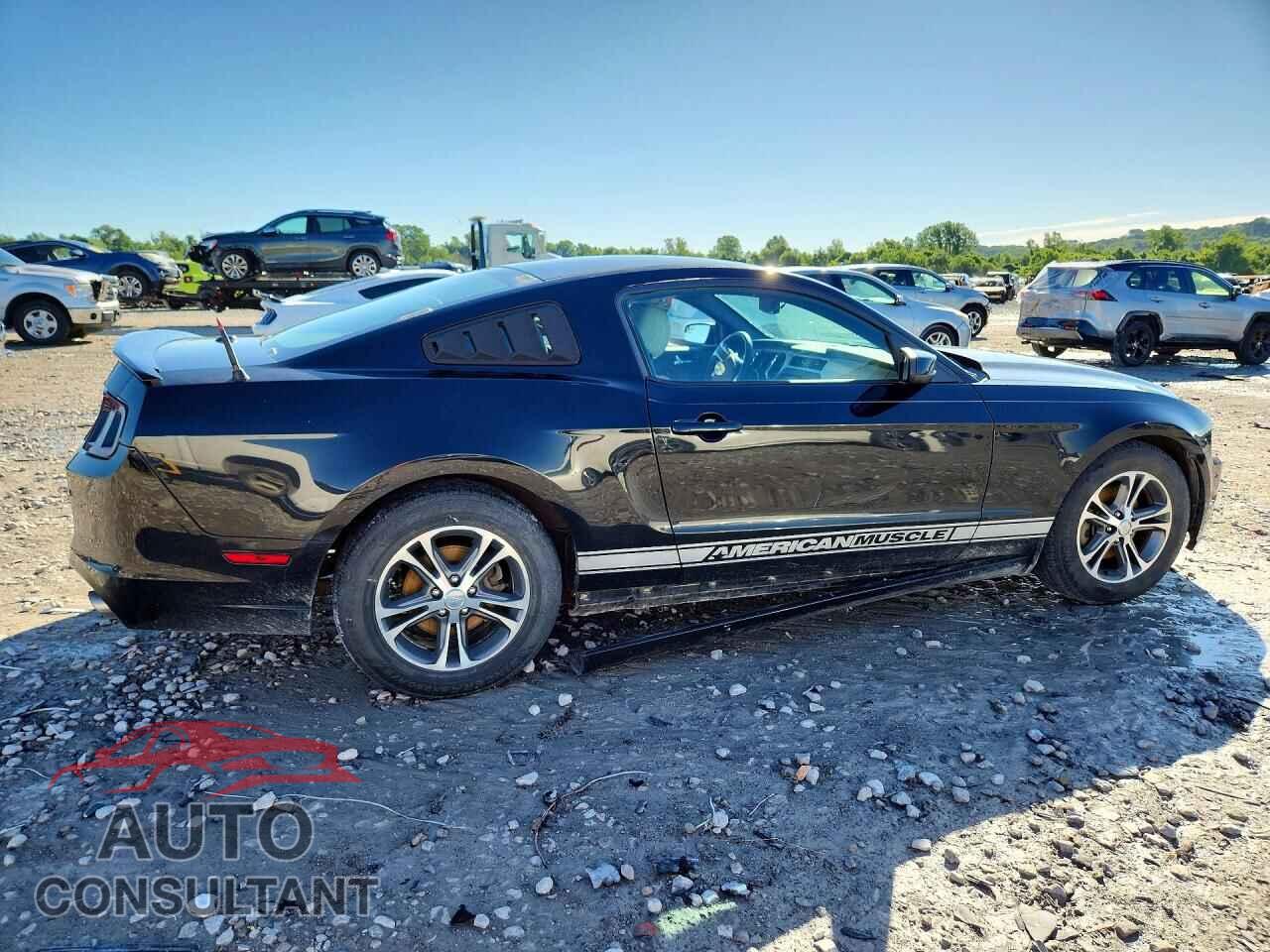 FORD MUSTANG 2014 - 1ZVBP8AM5E5201324