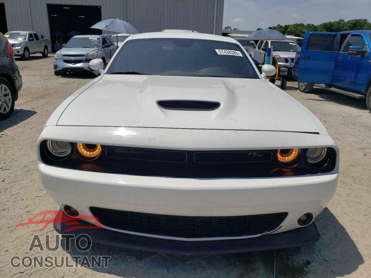 DODGE CHALLENGER 2019 - 2C3CDZBT6KH694886