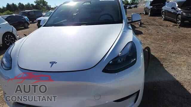 TESLA MODEL Y 2024 - 7SAYGAEE2RF117301