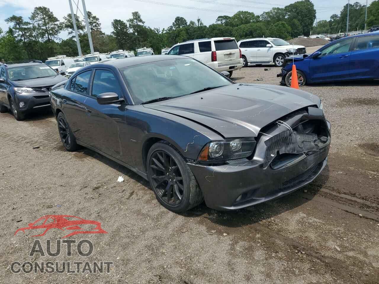DODGE CHARGER 2014 - 2C3CDXCT7EH363239