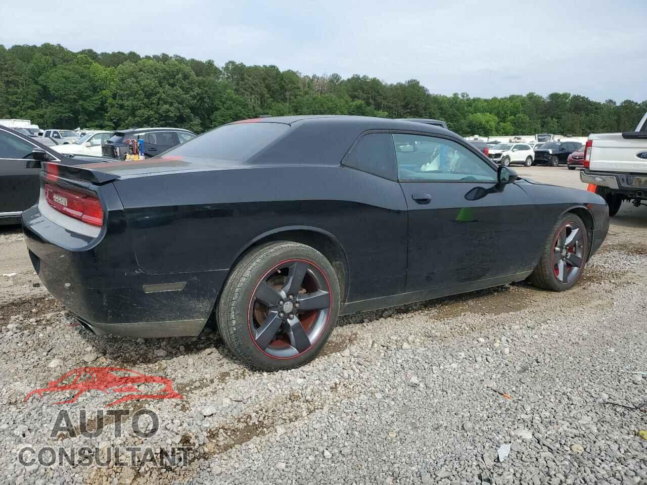 DODGE CHALLENGER 2013 - 2C3CDYAG5DH676283
