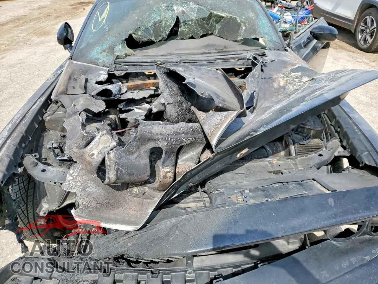 DODGE CHALLENGER 2016 - 2C3CDZFJ6GH217696