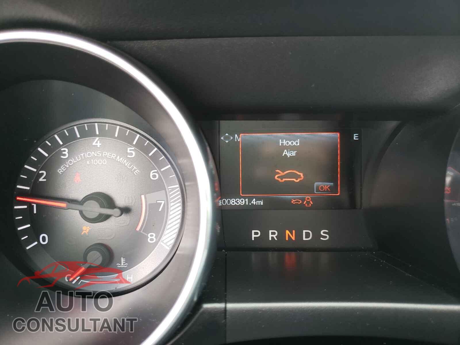 FORD MUSTANG 2019 - 1FA6P8TH9K5204233