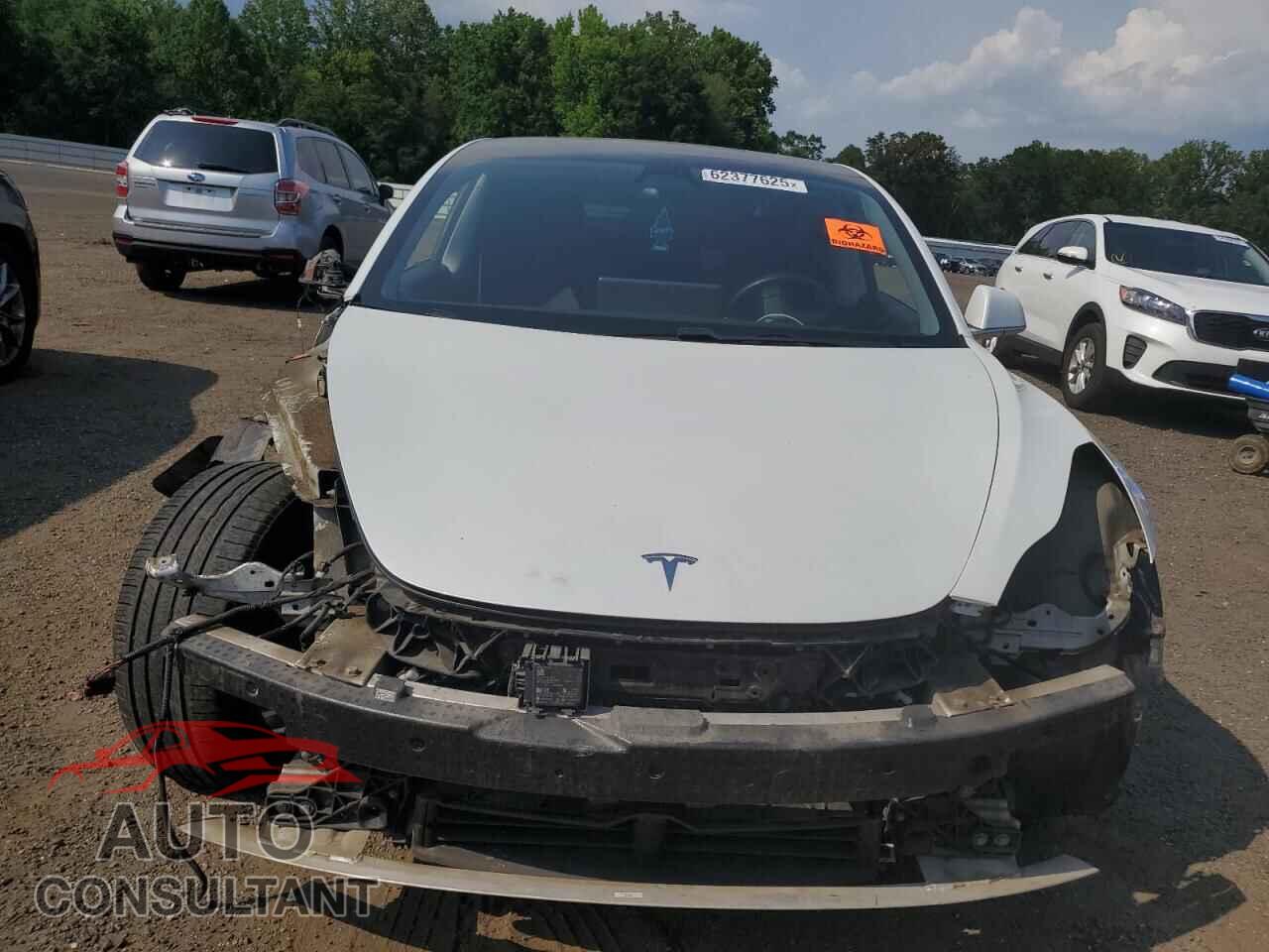 TESLA MODEL 3 2020 - 5YJ3E1EA5LF794196