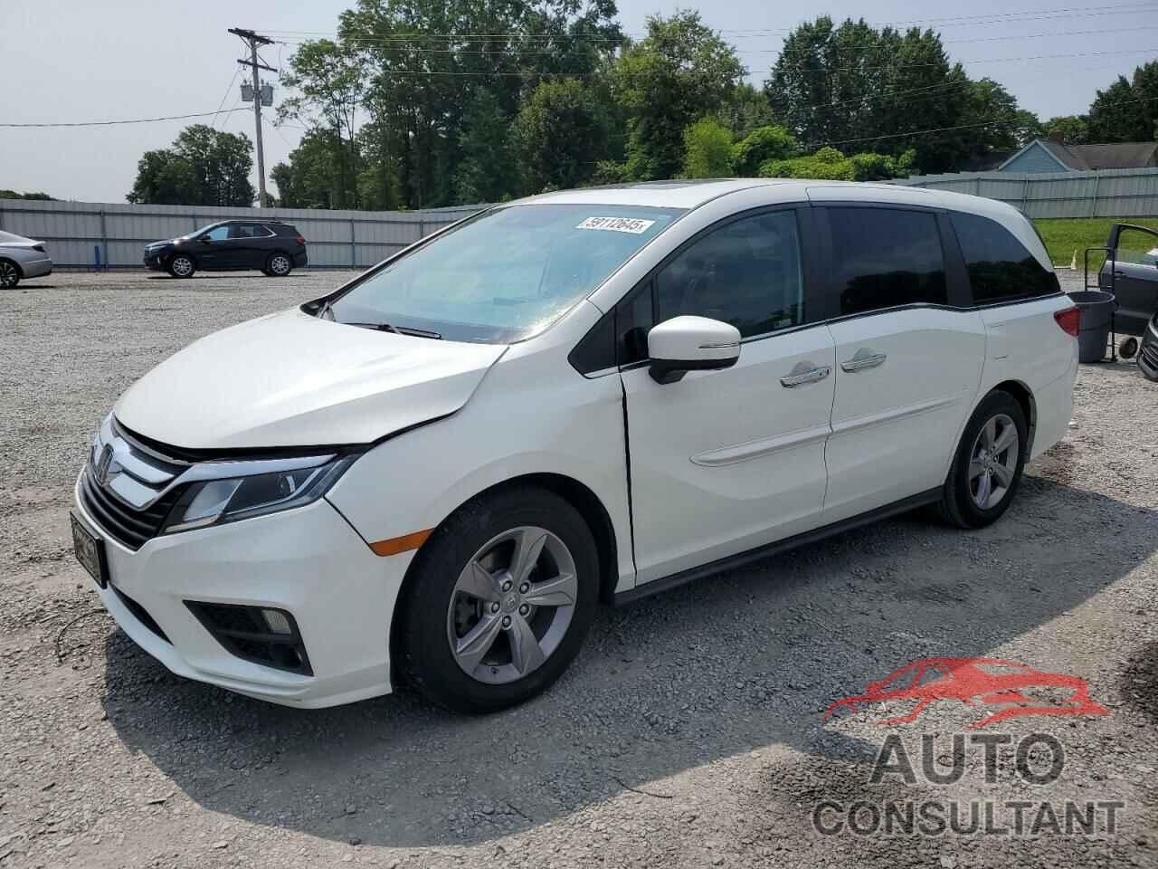 HONDA All Models 2020 - 5FNRL6H78LB052159