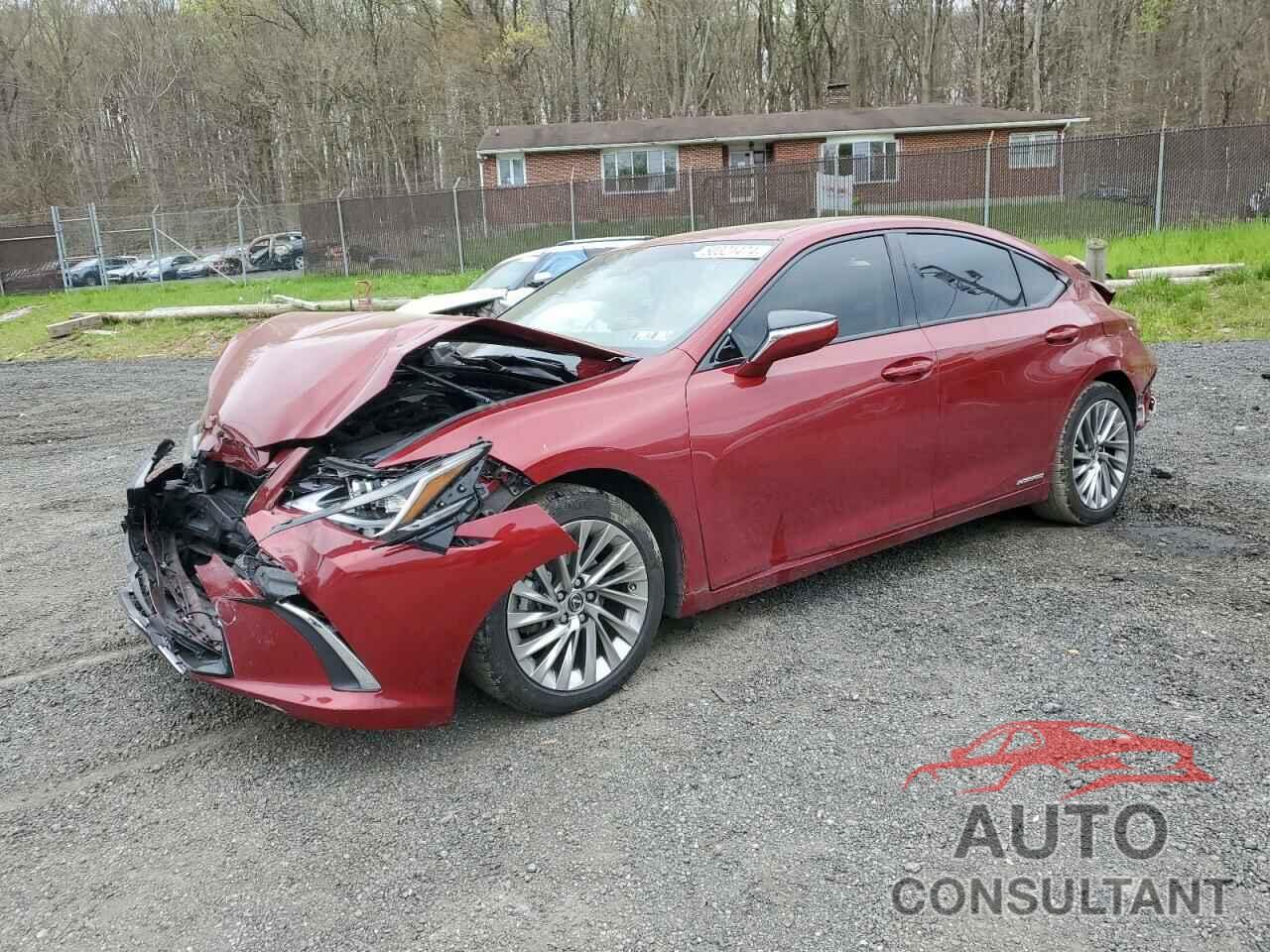 LEXUS ES300 2021 - 58AEA1C15MU012550