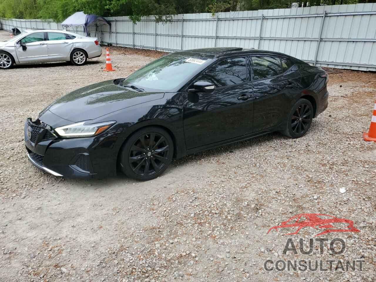 NISSAN MAXIMA 2019 - 1N4AA6AV2KC362434