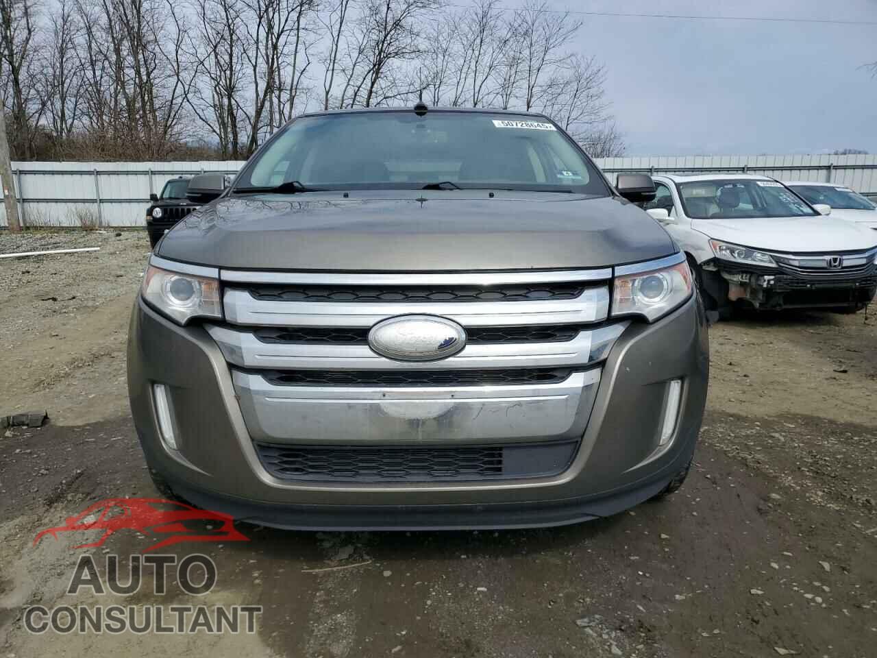 FORD EDGE 2014 - 2FMDK4KC8EBA23697