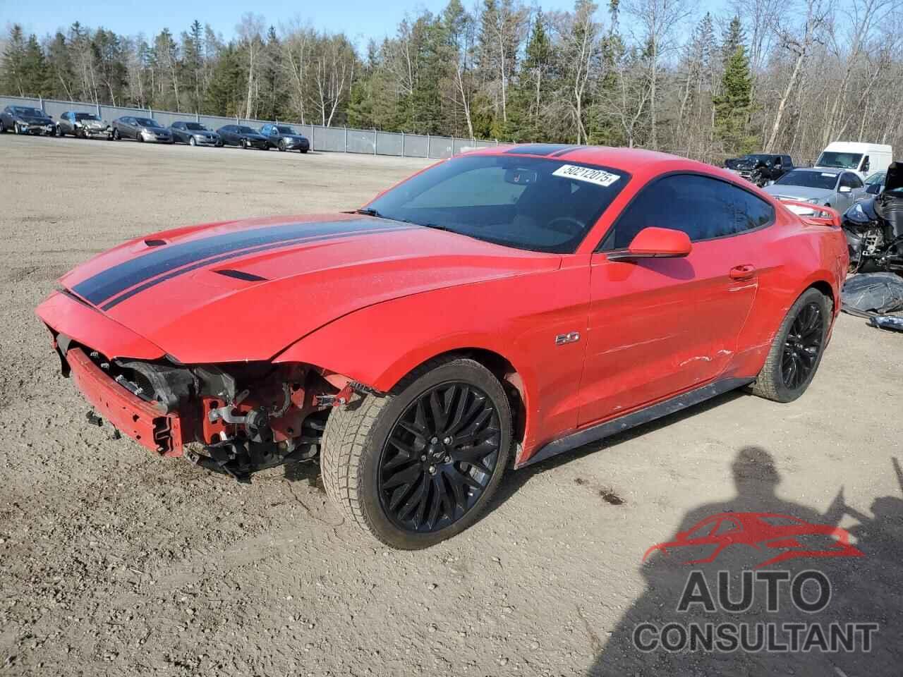 FORD MUSTANG 2019 - 1FA6P8CF4K5179837