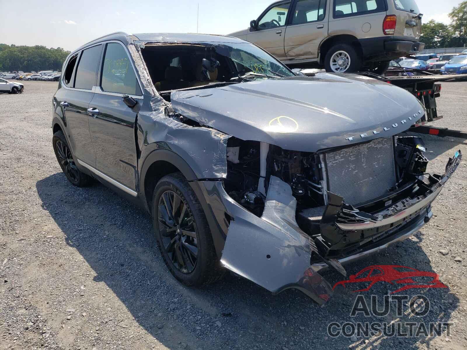 KIA TELLURIDE 2021 - 5XYP5DHC9MG190502