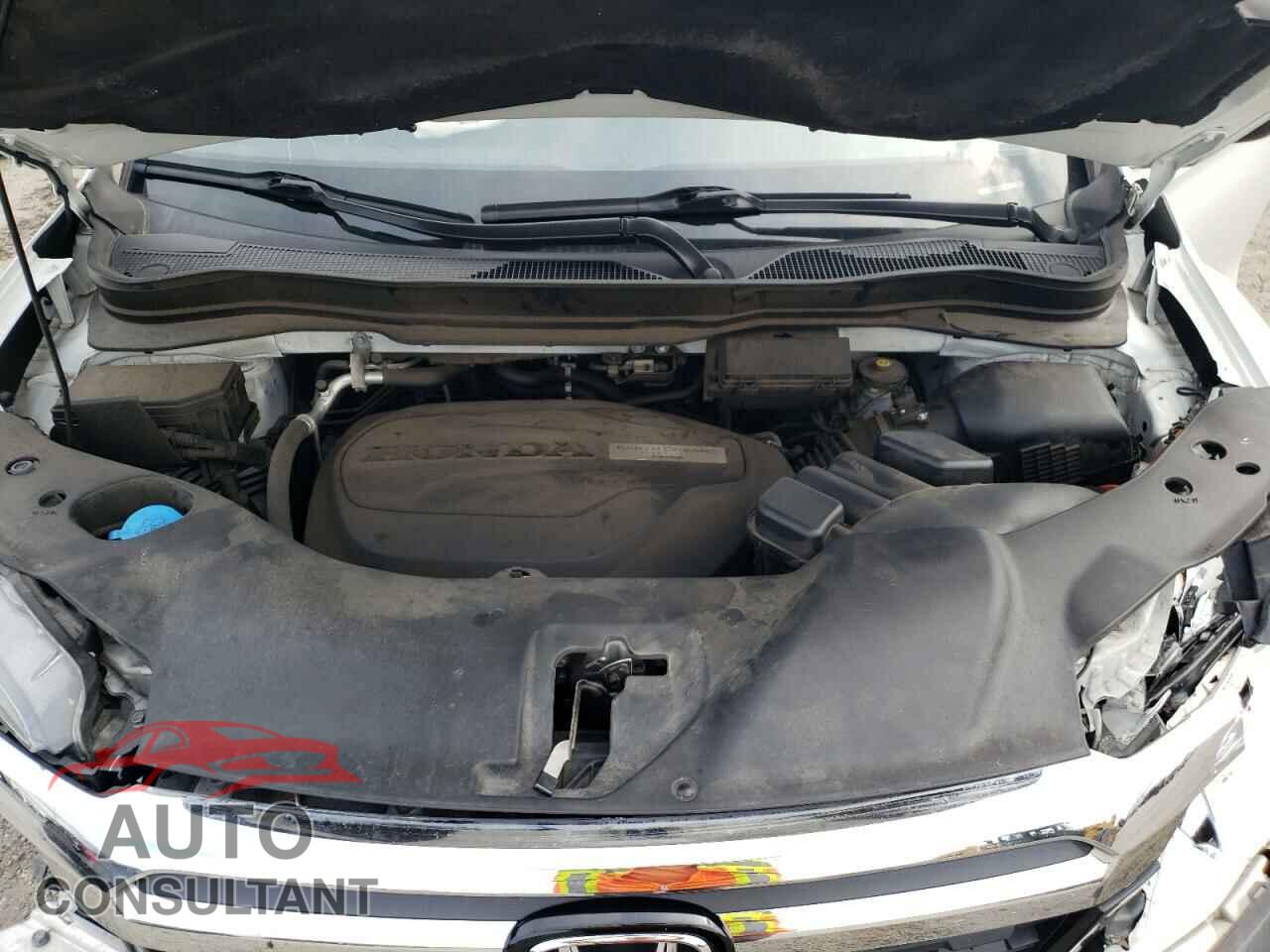 HONDA RIDGELINE 2019 - 5FPYK3F16KB045521