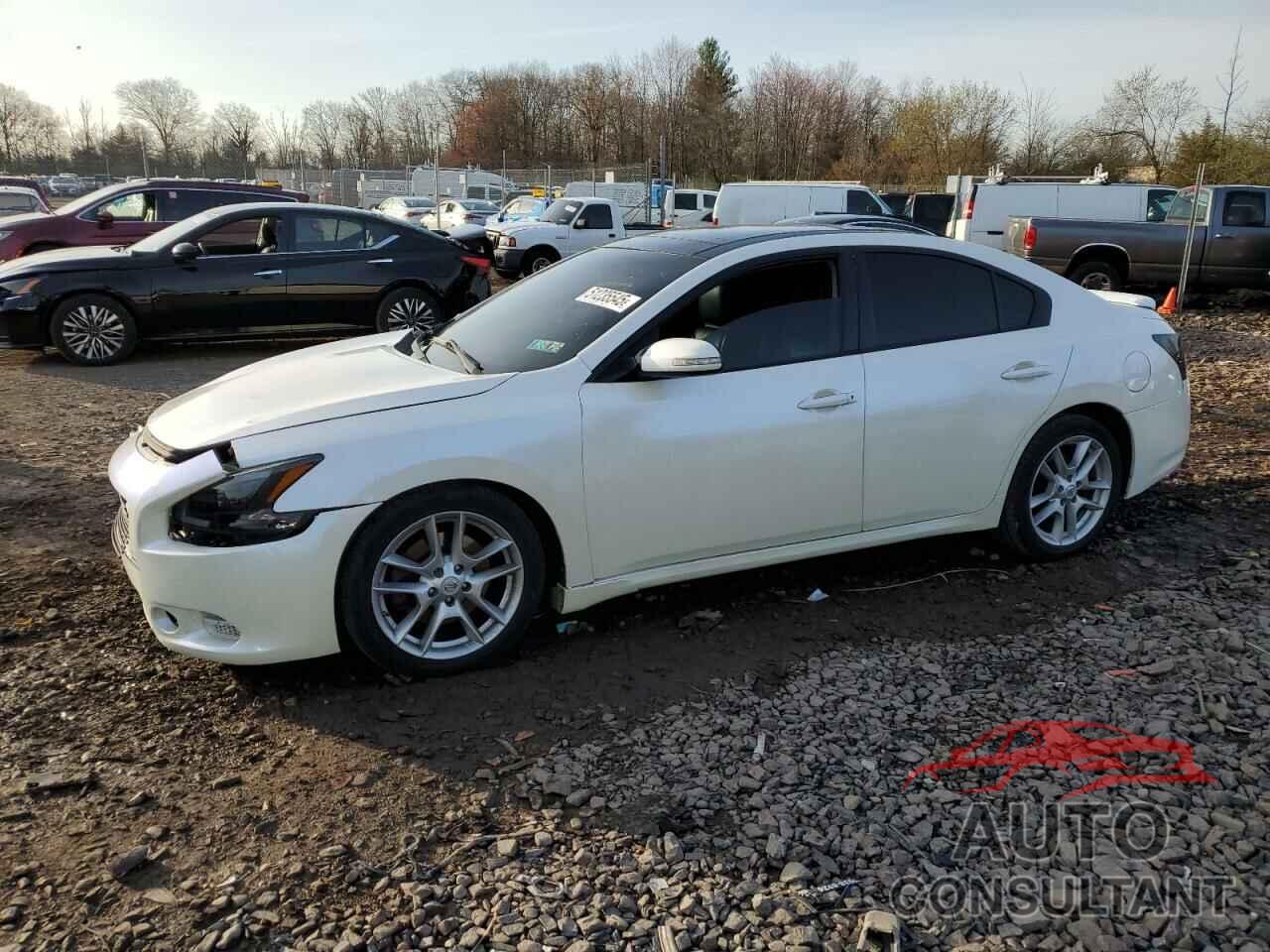NISSAN MAXIMA 2010 - 1N4AA5AP9AC867509