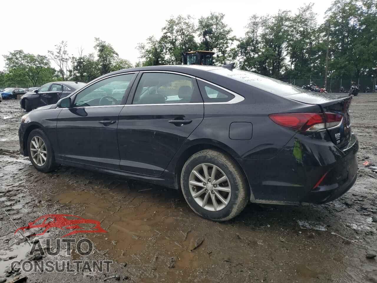 HYUNDAI SONATA 2019 - 5NPE24AF3KH817852