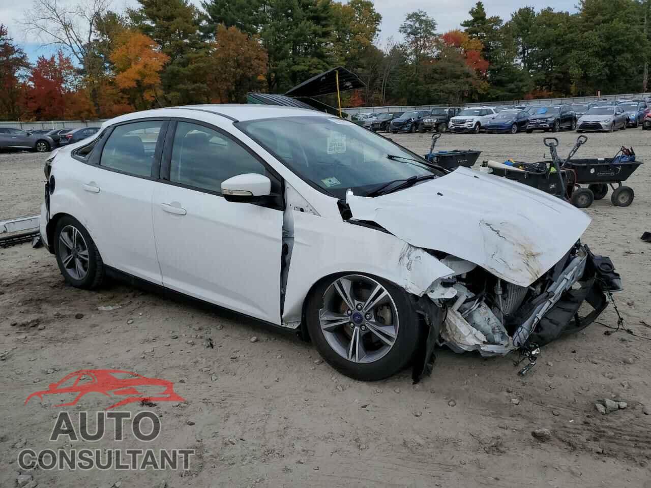 FORD FOCUS 2017 - 1FADP3FEXHL281032