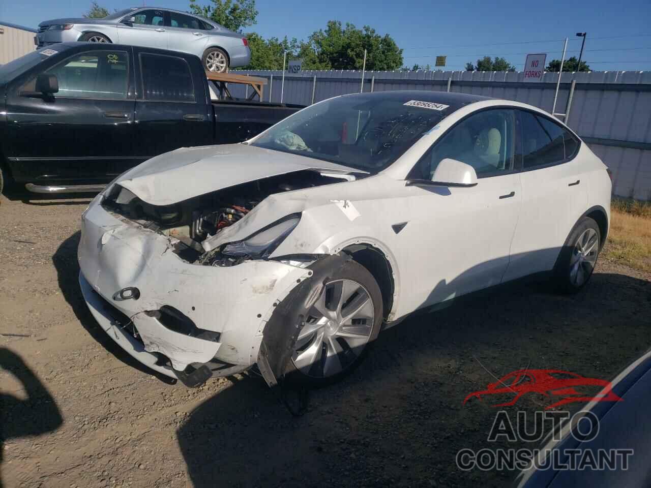 TESLA MODEL Y 2021 - 5YJYGDEE4MF096085