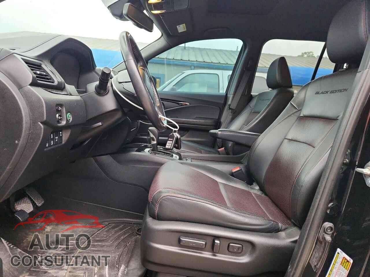 HONDA RIDGELINE 2019 - 5FPYK3F80KB004122