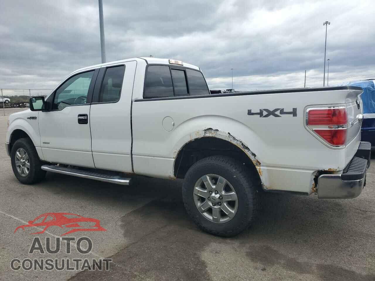 FORD F-150 2013 - 1FTFX1ET4DFD31973