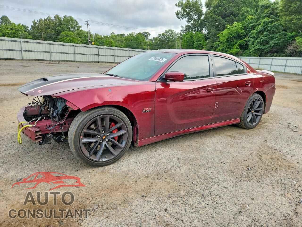 DODGE CHARGER 2019 - 2C3CDXGJ3KH595437