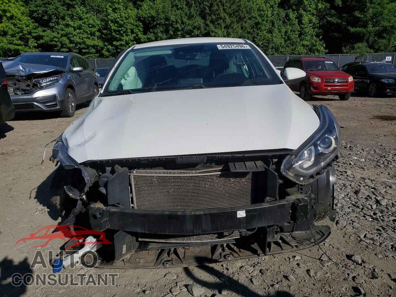 KIA FORTE 2019 - 3KPF24AD8KE097293