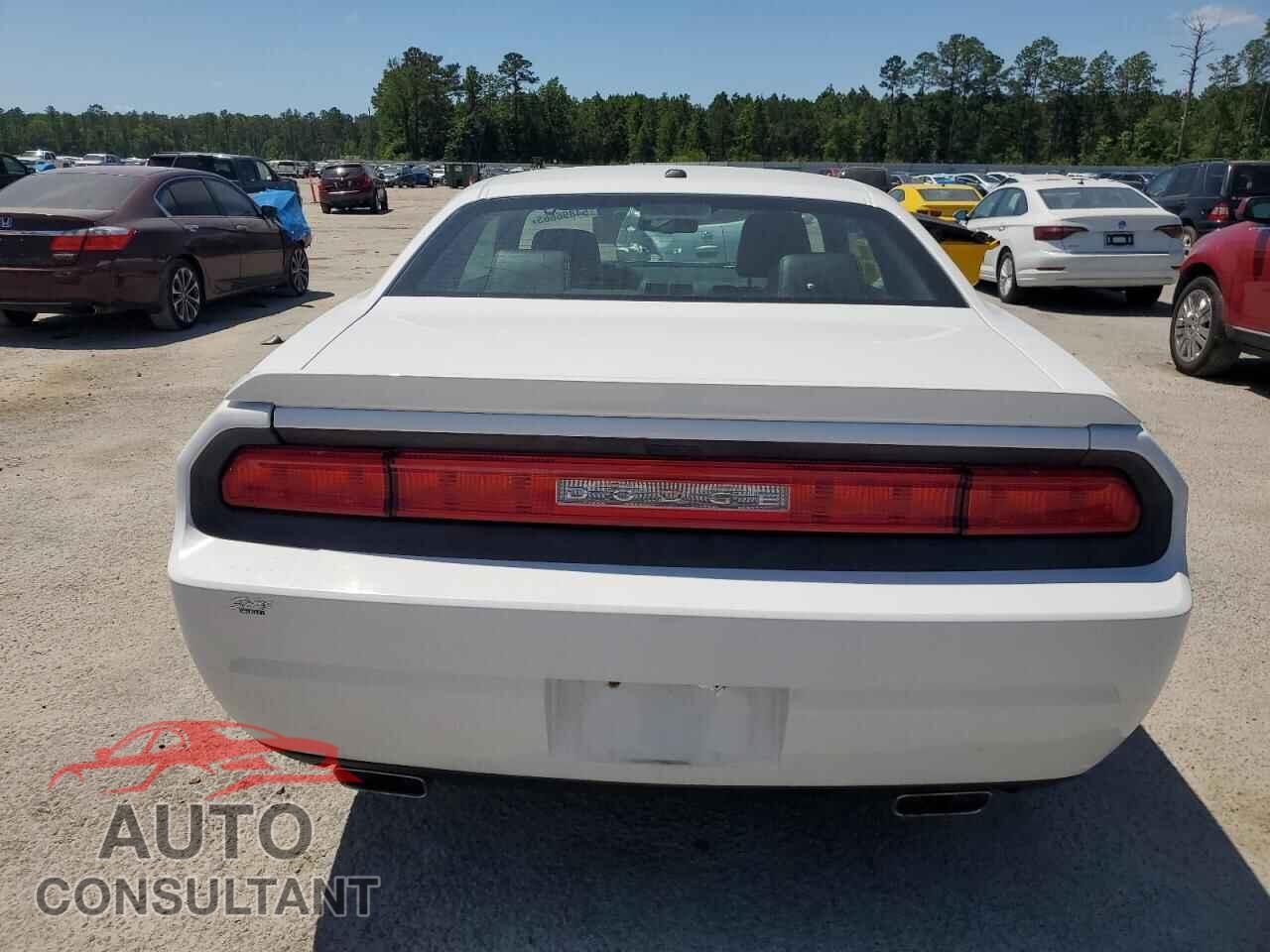 DODGE CHALLENGER 2012 - 2C3CDYBT6CH220545
