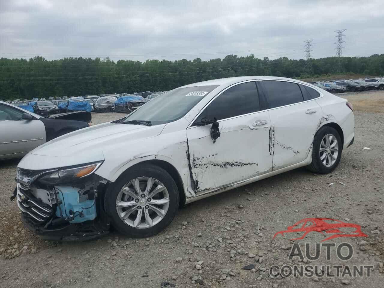CHEVROLET MALIBU 2019 - 1G1ZD5ST1KF133049