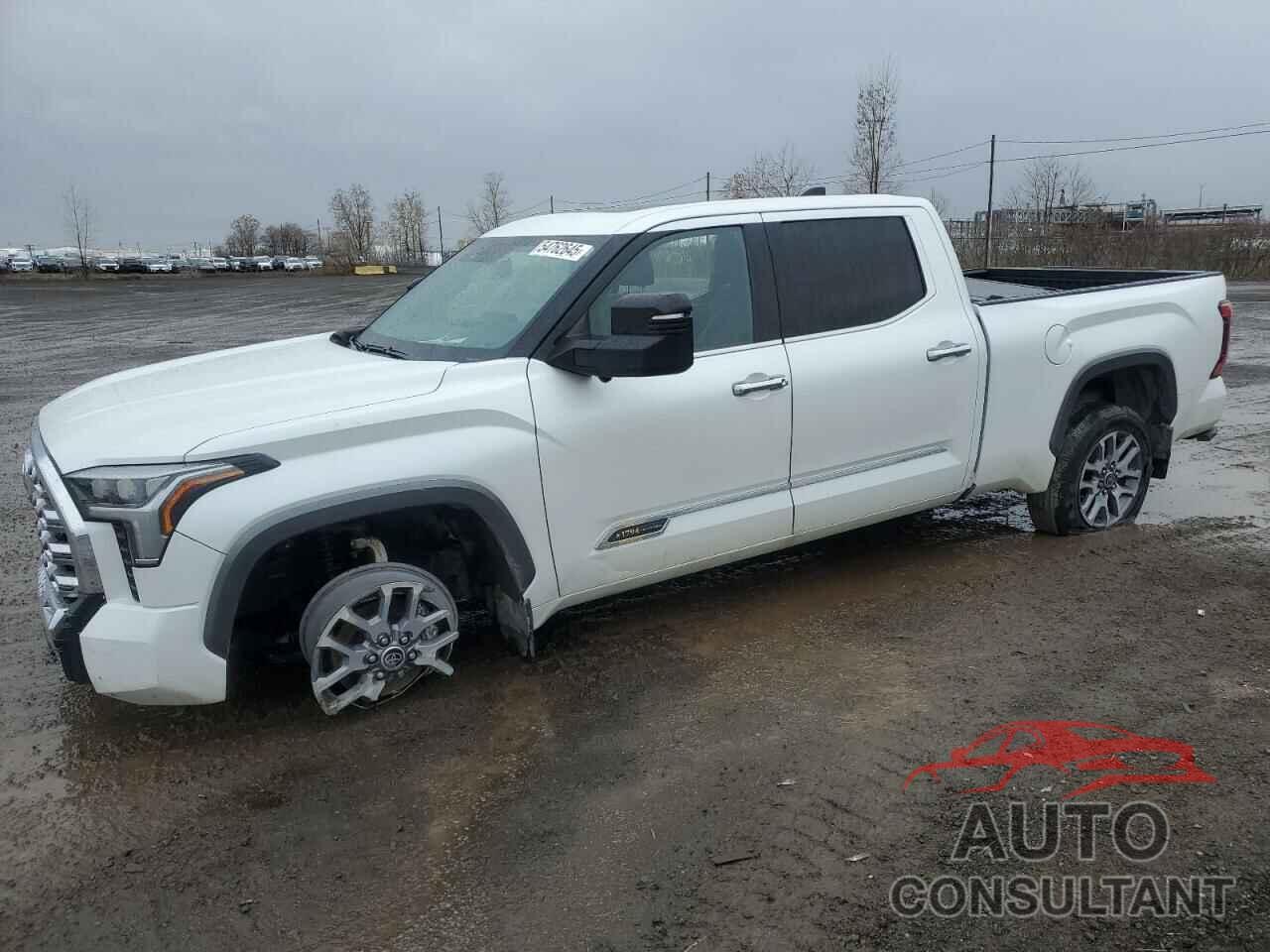 TOYOTA TUNDRA 2022 - 5TFMA5EC3NX009787