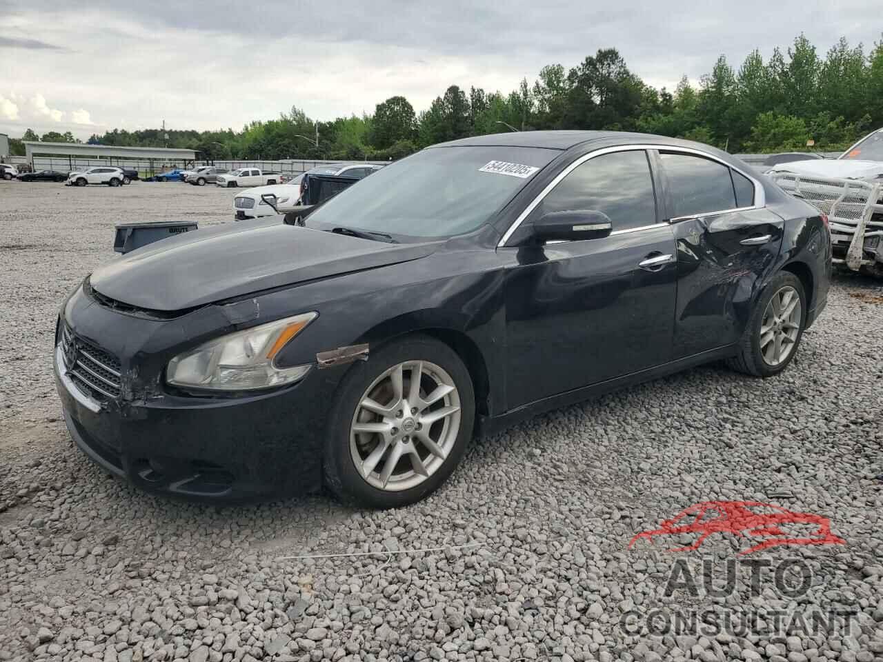 NISSAN MAXIMA 2011 - 1N4AA5AP3BC804164