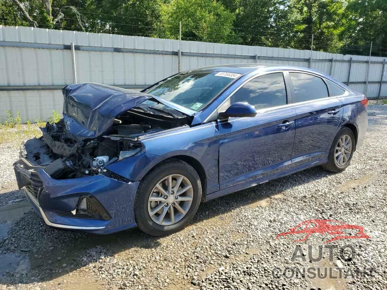 HYUNDAI SONATA 2019 - 5NPE24AF2KH777134