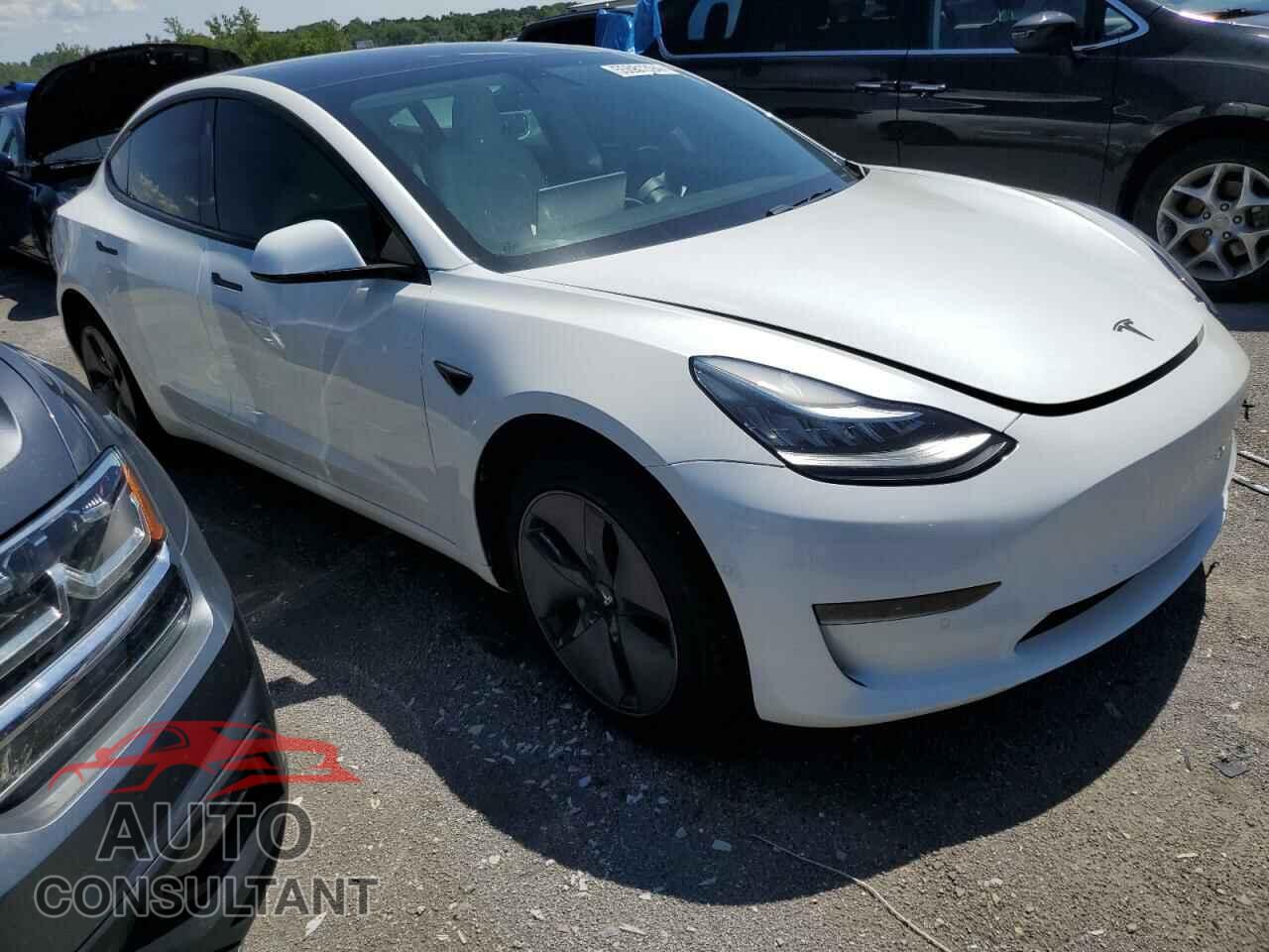 TESLA MODEL 3 2019 - 5YJ3E1EA0KF486934