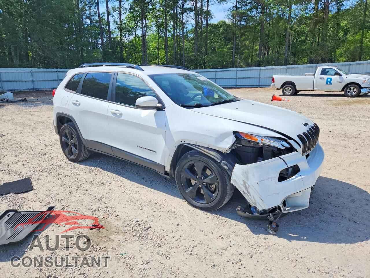 JEEP CHEROKEE 2018 - 1C4PJLDB3JD563580