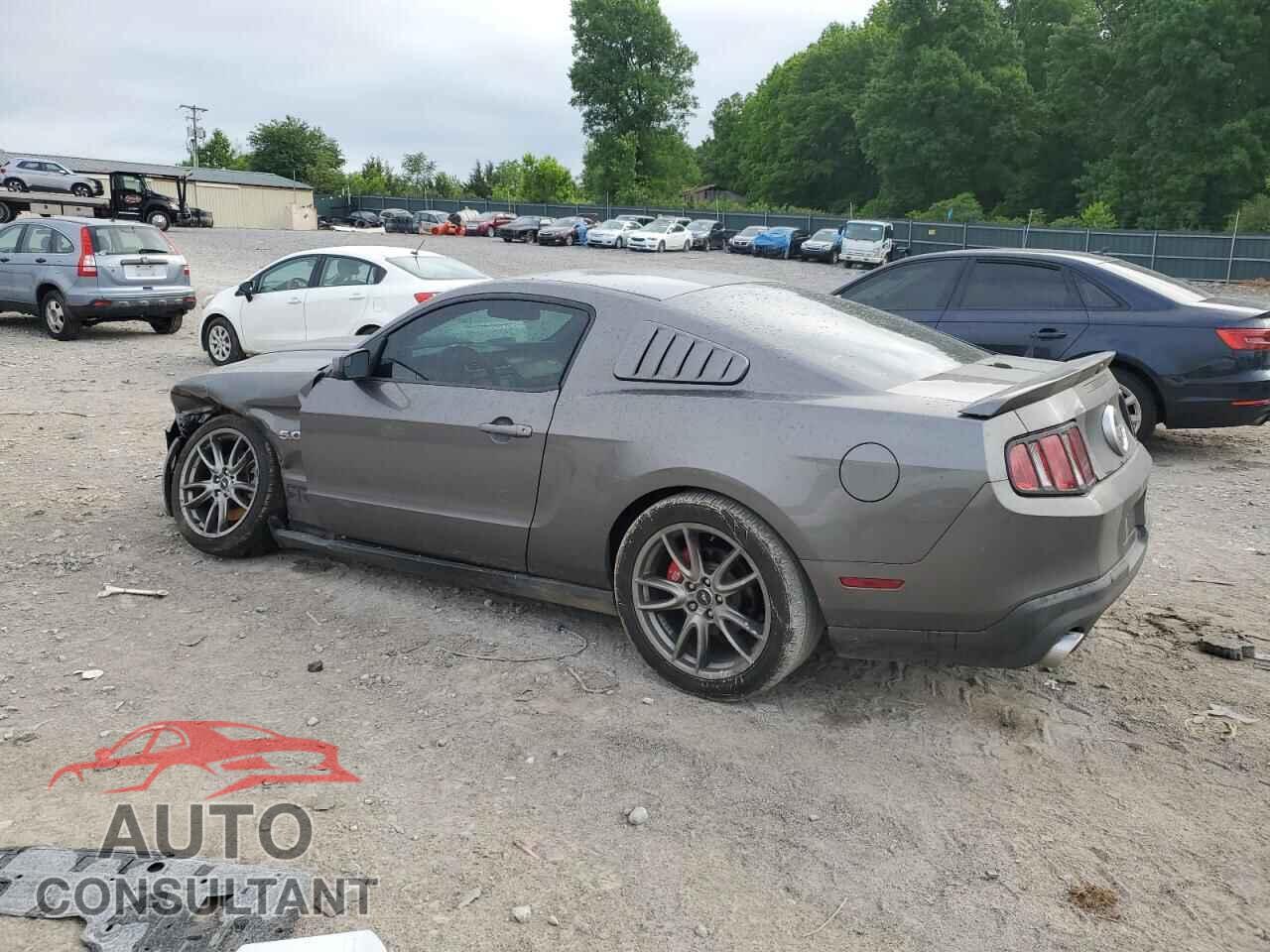 FORD MUSTANG 2011 - 1ZVBP8CF7B5146224