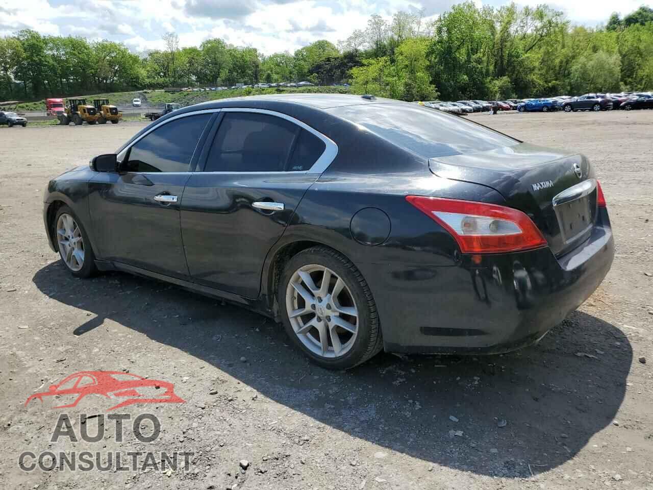 NISSAN MAXIMA 2011 - 1N4AA5AP1BC816233