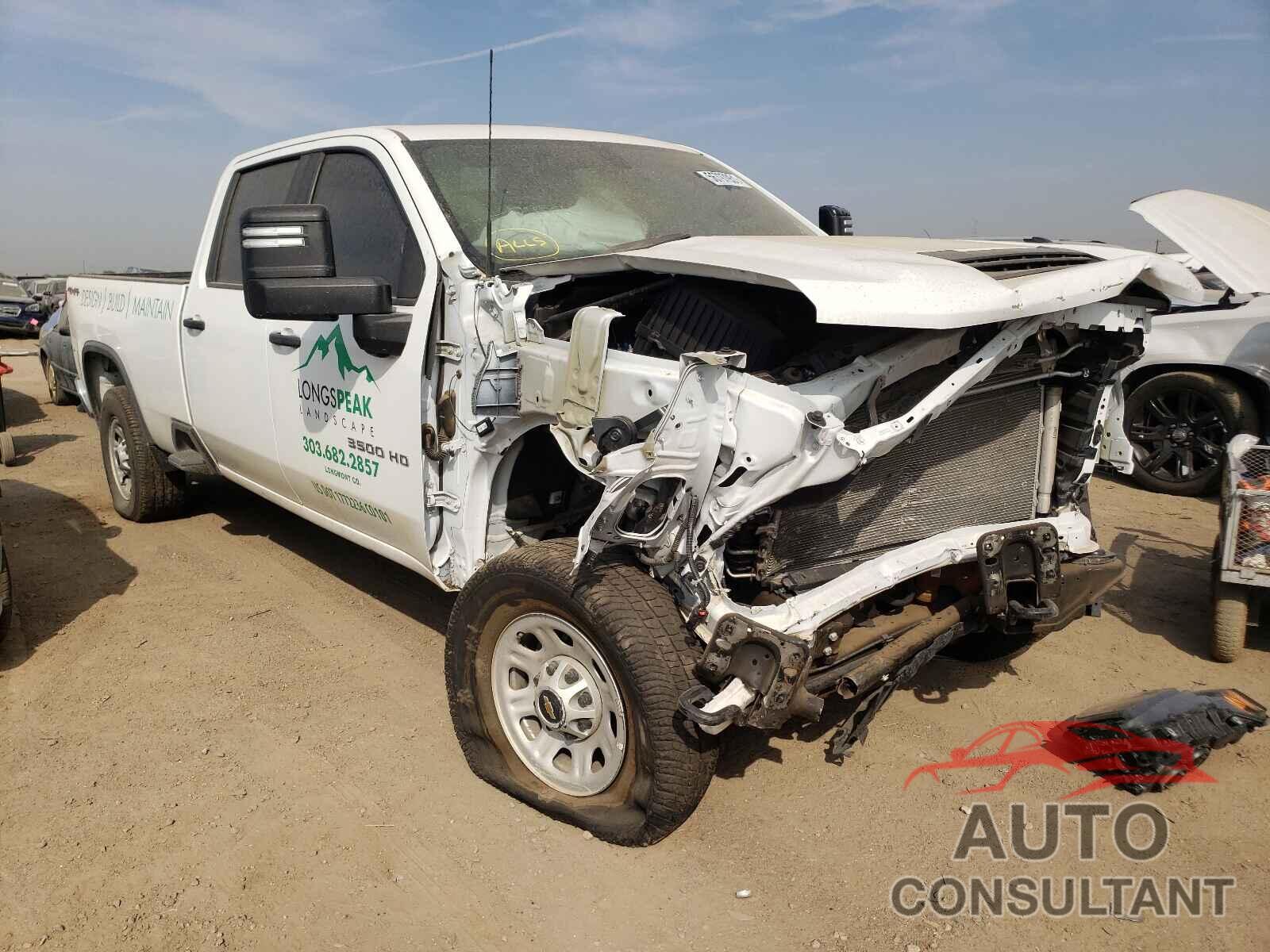 CHEVROLET SILVERADO 2020 - 1GC4YSE72LF180983