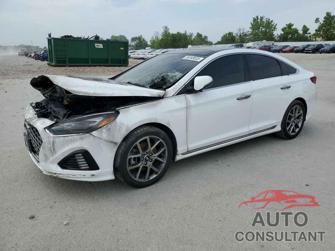 HYUNDAI SONATA 2019 - 5NPE34AB6KH780774