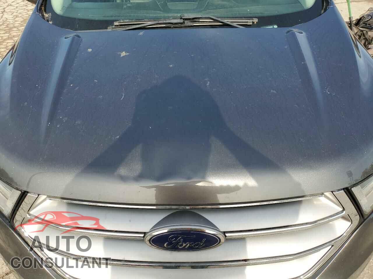 FORD EDGE 2015 - 2FMTK4J85FBB65905